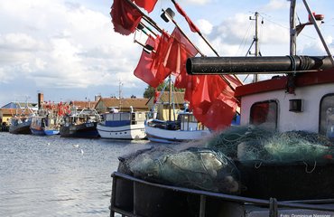 Fischkutter im Hafen Freest; Foto: Dominique Niessner