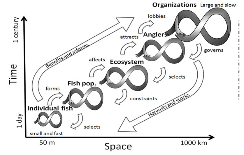 scale interactions