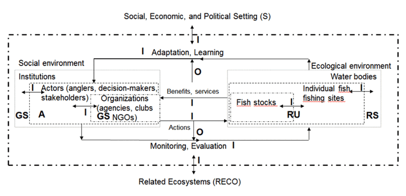 Related Ecosystem