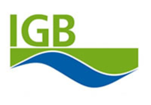 IGB