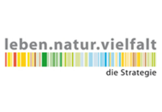 Strategie